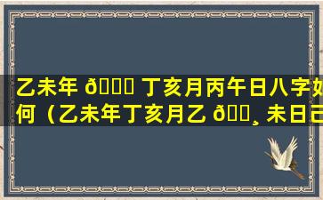 乙未年 🐛 丁亥月丙午日八字如何（乙未年丁亥月乙 🕸 未日己卯时）